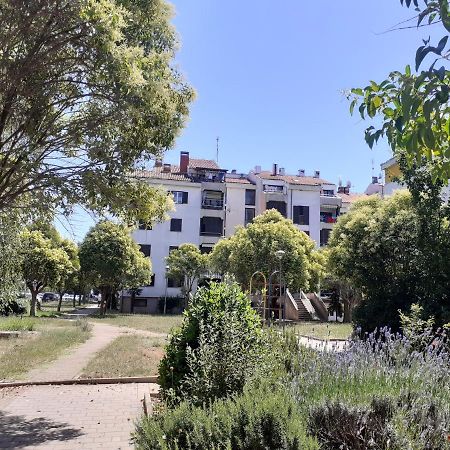 Apartmán Apartman Lila Umag Exteriér fotografie
